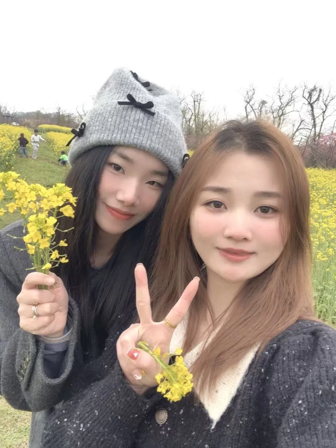 做好功课🫡补铁这件事我可不走弯路！