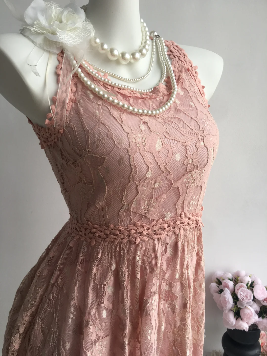 【86】细嗅蔷薇