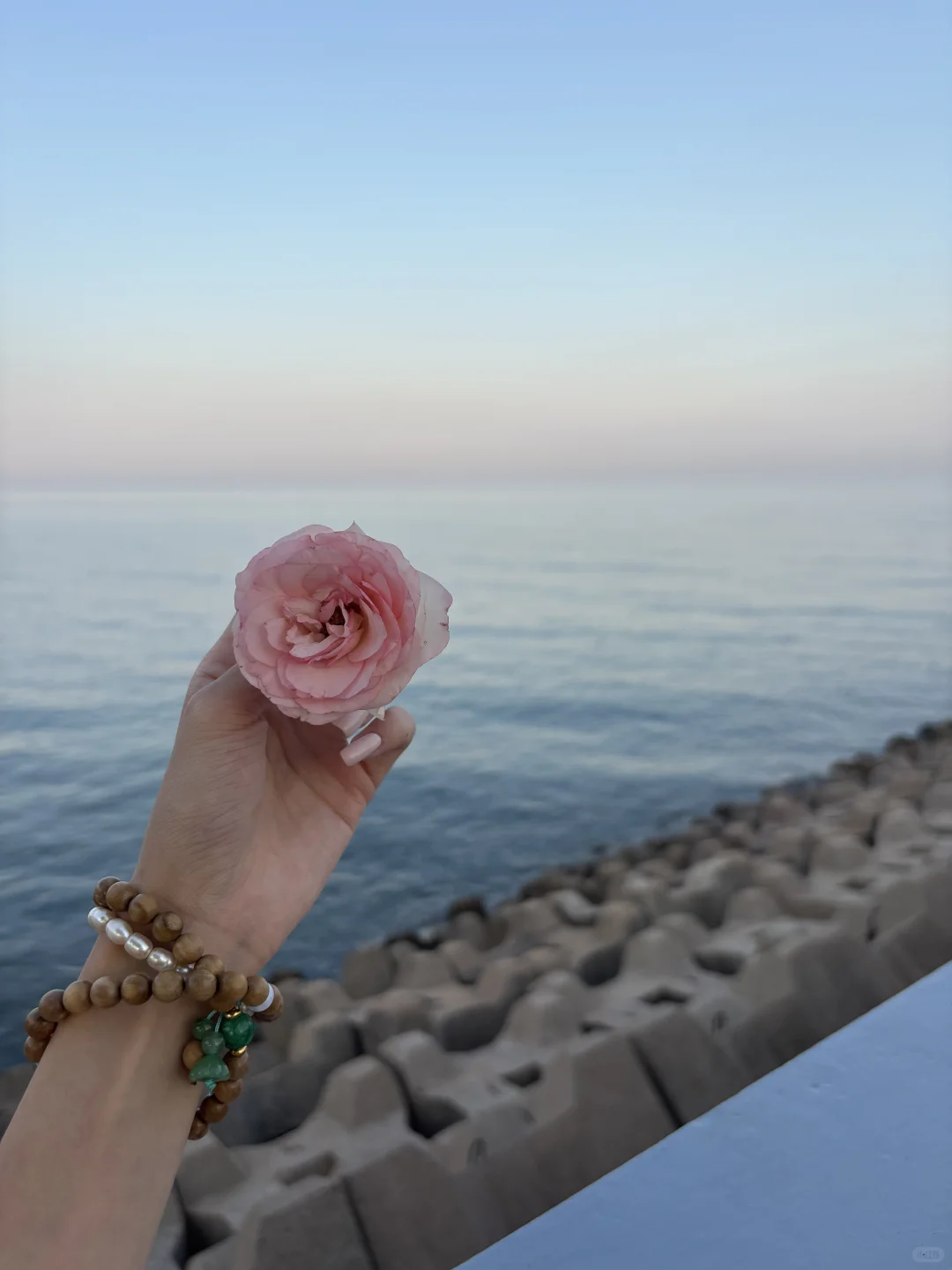 𓇻 S𝗲𝗮𓆝 🌊