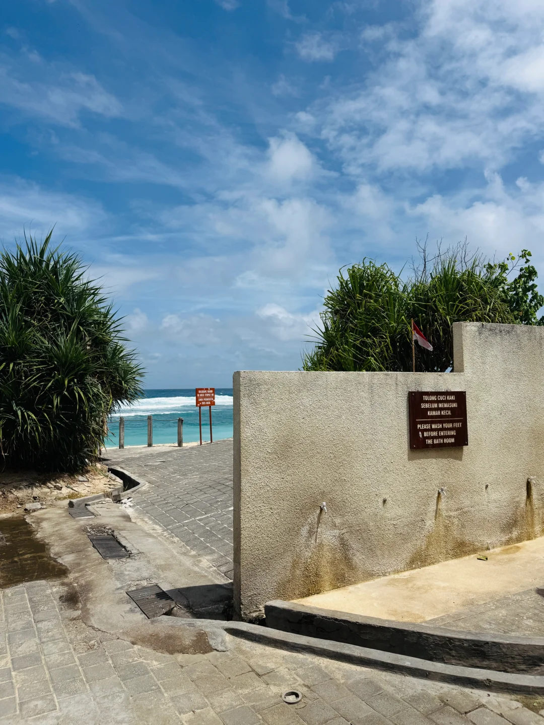 ⌇𓇼海の味🐚