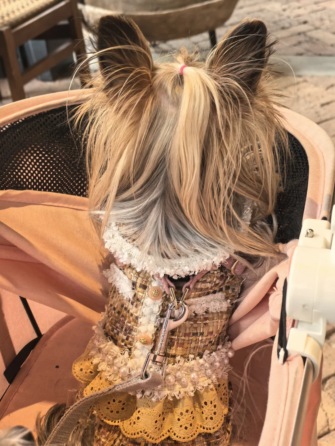 温暖牌小香风衣服，帮宝宝们实现穿衣自由6