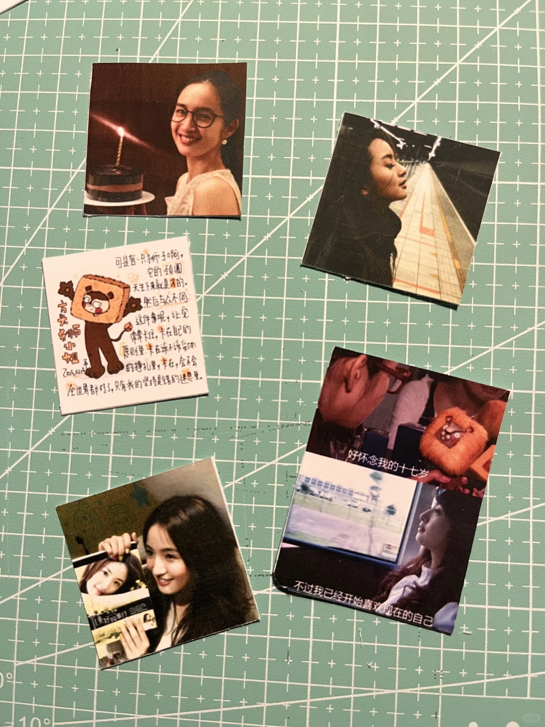 我还是没能放弃做一头方头的狮子