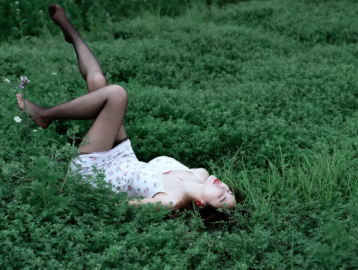 御姐的温柔|旷野上慵懒如风