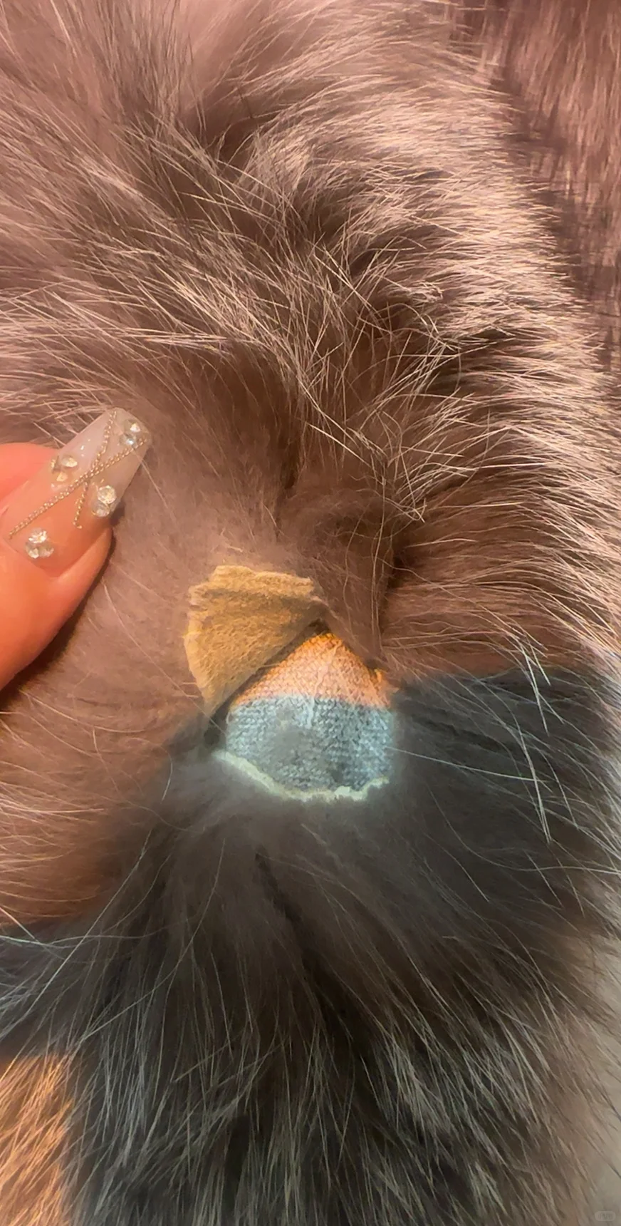 辛巴辛选售卖的貂皮质量差 用的老旧拼皮