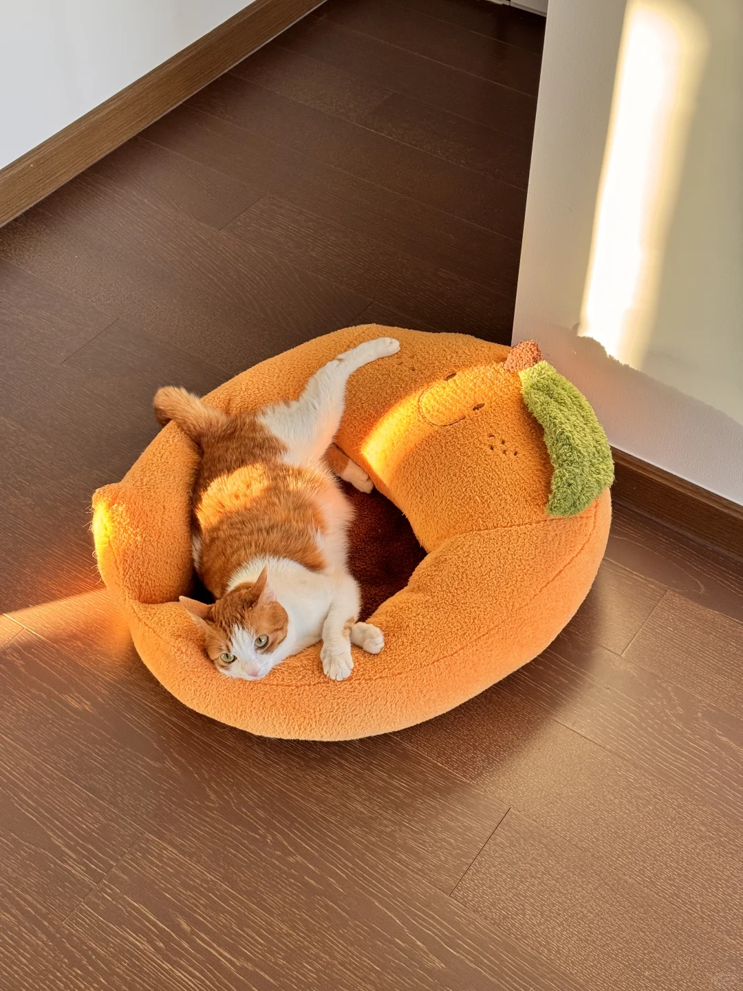 屎黄色嫩模太出片了