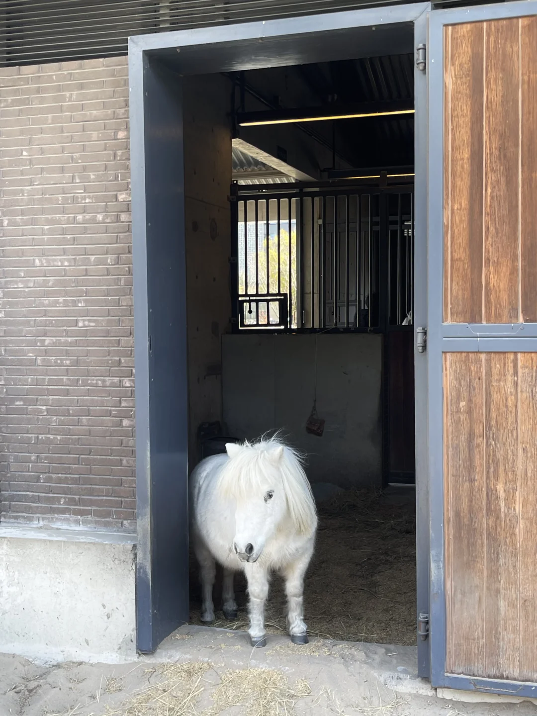 淡季阿那亚的海边🌊