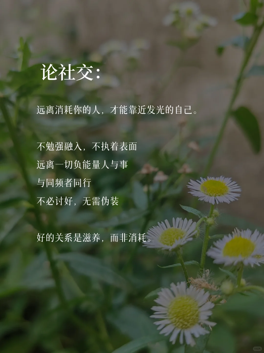 35岁，做一个心态很绝的中年少女