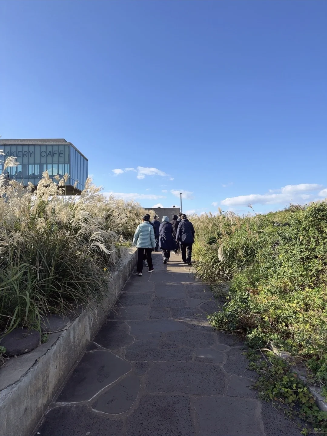 jeju memo🪨吹吹海风