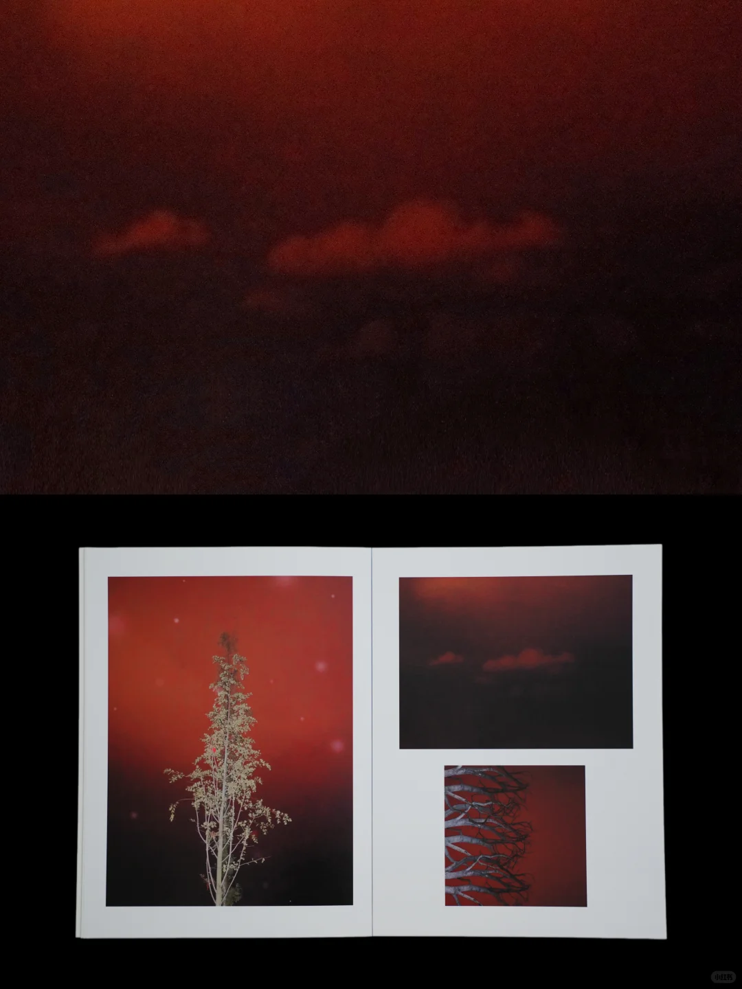 我的第一本摄影集｜在我的想象中