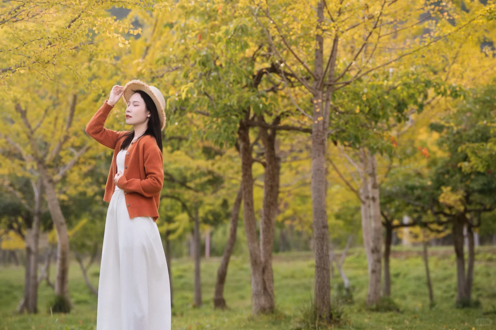 我与秋风皆自由……