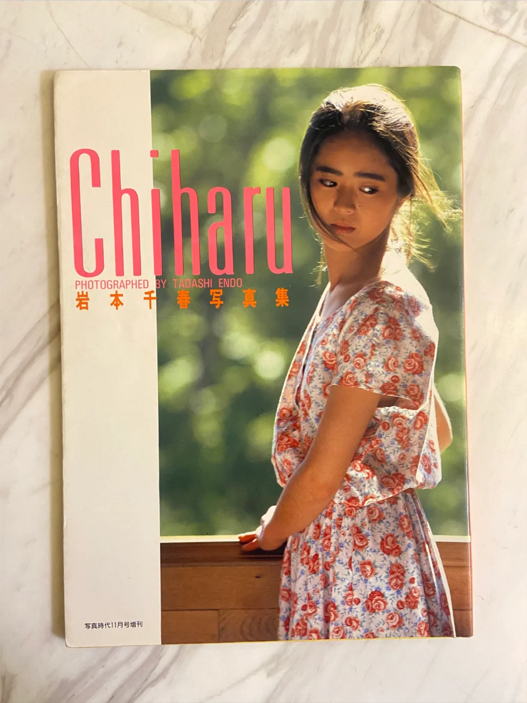 岩本千春写真集