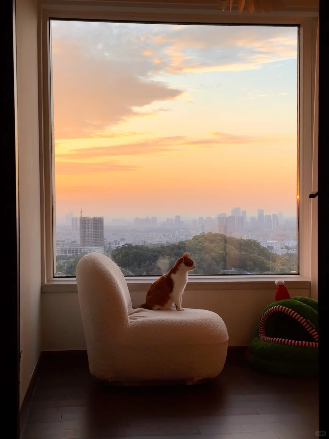 屎黄色嫩模太出片了