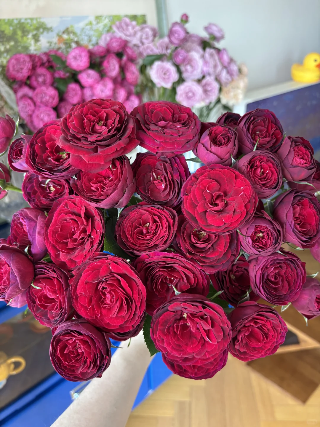 是开炸的红蕾丝啊