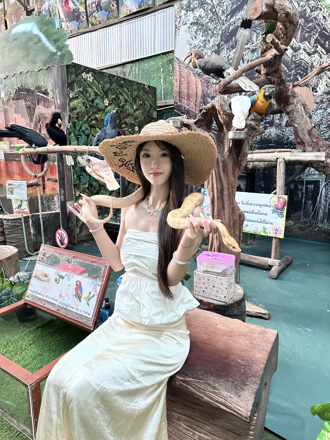 🎀平价泰兰德穿搭贵贵穿～无广✨（附🔗