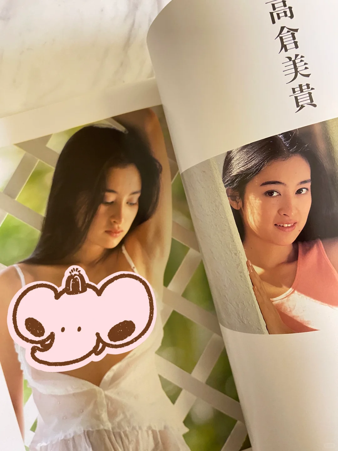 金環蝕写真集、横山紀子摄影