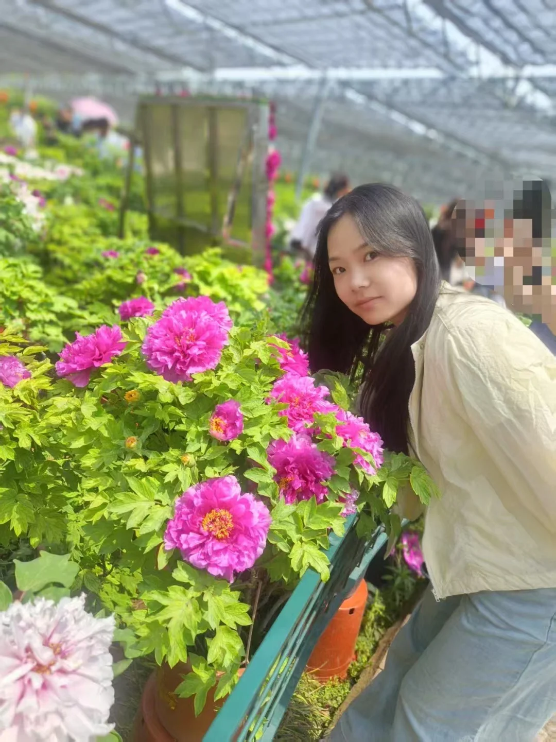 补血排行榜🧘‍♀️这一款力蜚能深得我心！