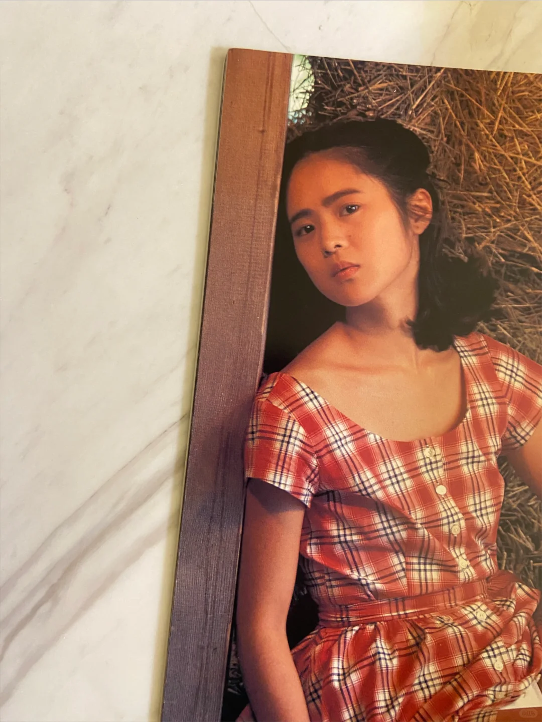 岩本千春写真集