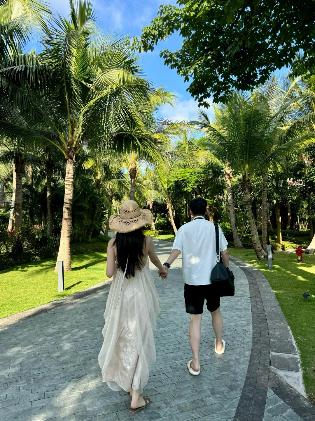 穿梭在热带雨林🌴