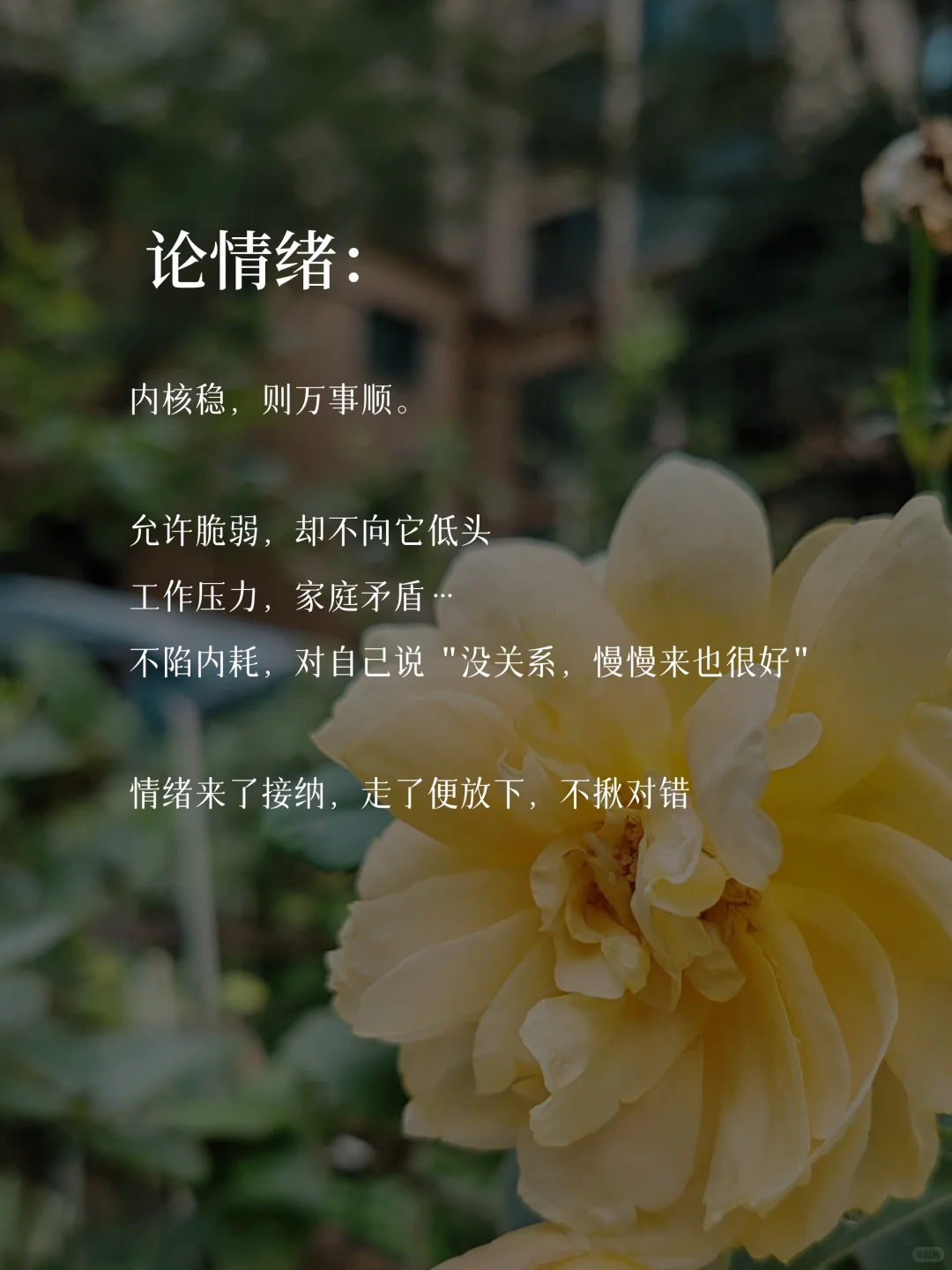 35岁，做一个心态很绝的中年少女