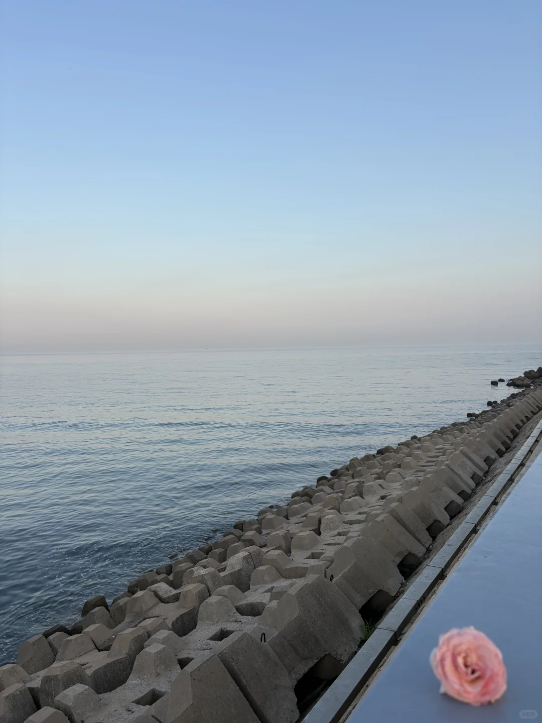 𓇻 S𝗲𝗮𓆝 🌊