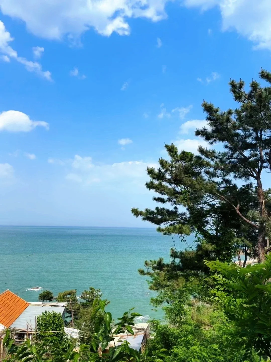 穿蓝裙去海边吹海风🌊