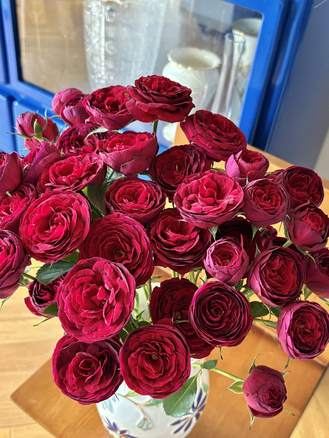 是开炸的红蕾丝啊