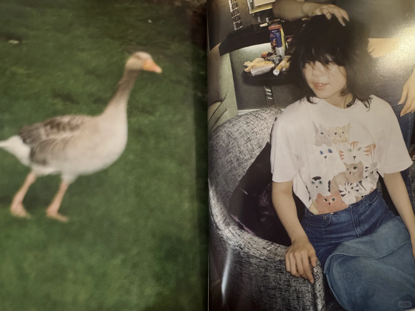 一本喜欢的写真集以及对拍摄的启示