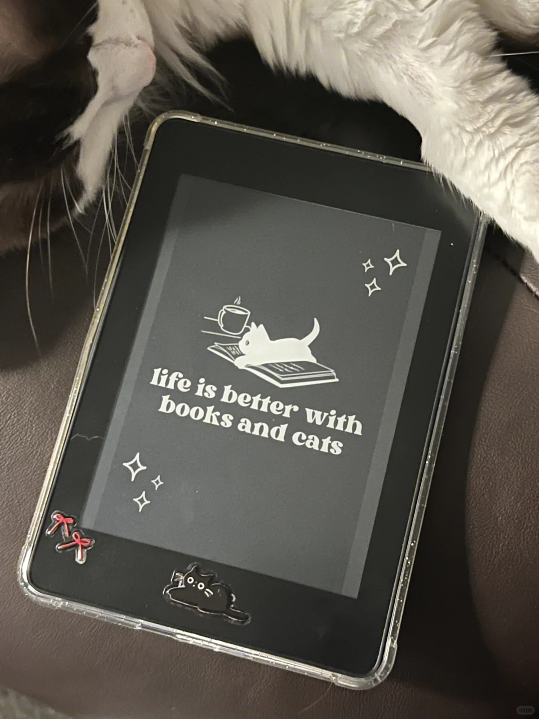 我还是没能放弃做一头方头的狮子