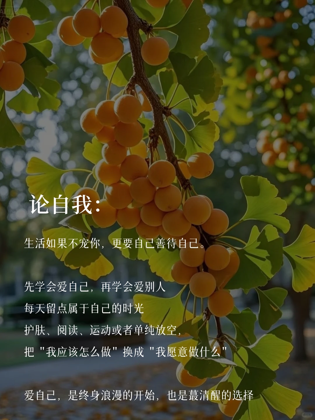 35岁，做一个心态很绝的中年少女