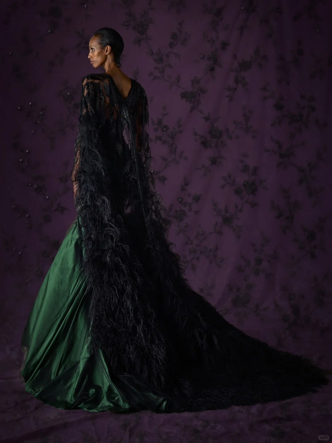 Ines di Santo联手《Wicked》推出礼服系列🪄