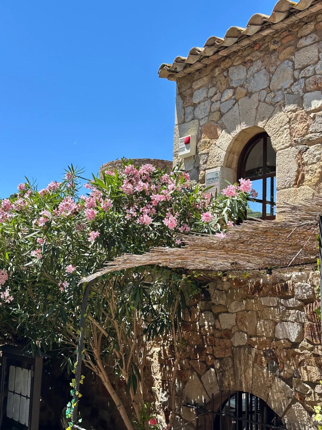 tossa🇪🇸在小镇的夏天