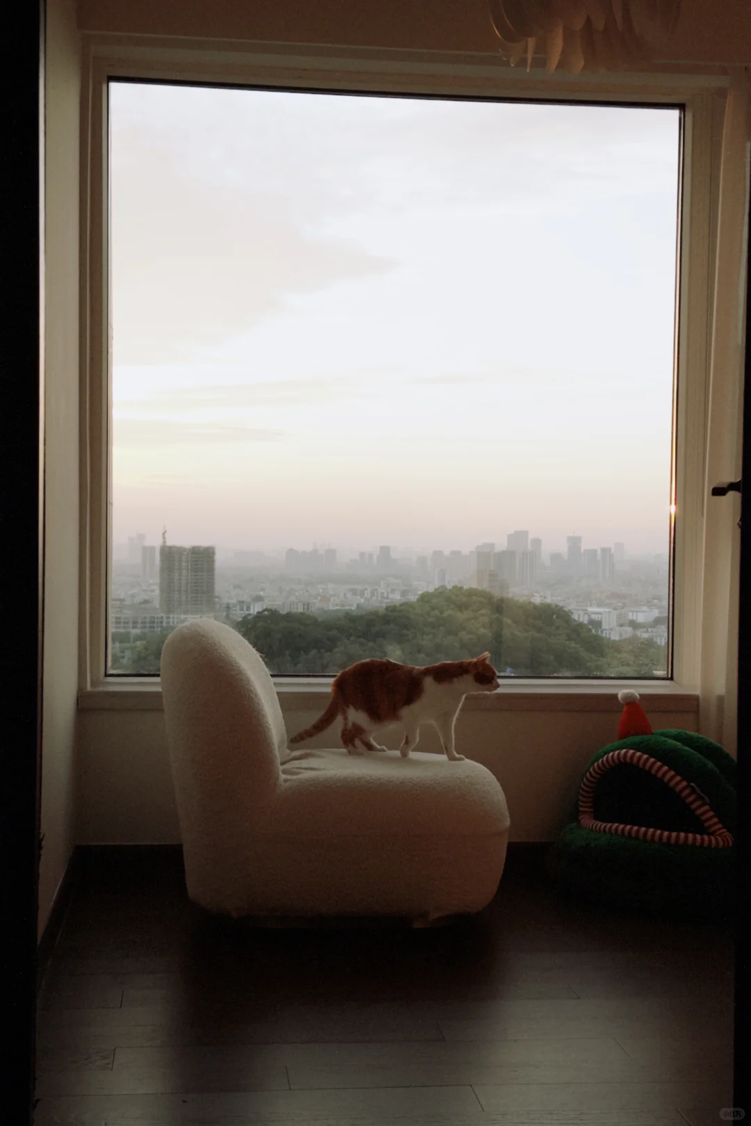 屎黄色嫩模太出片了