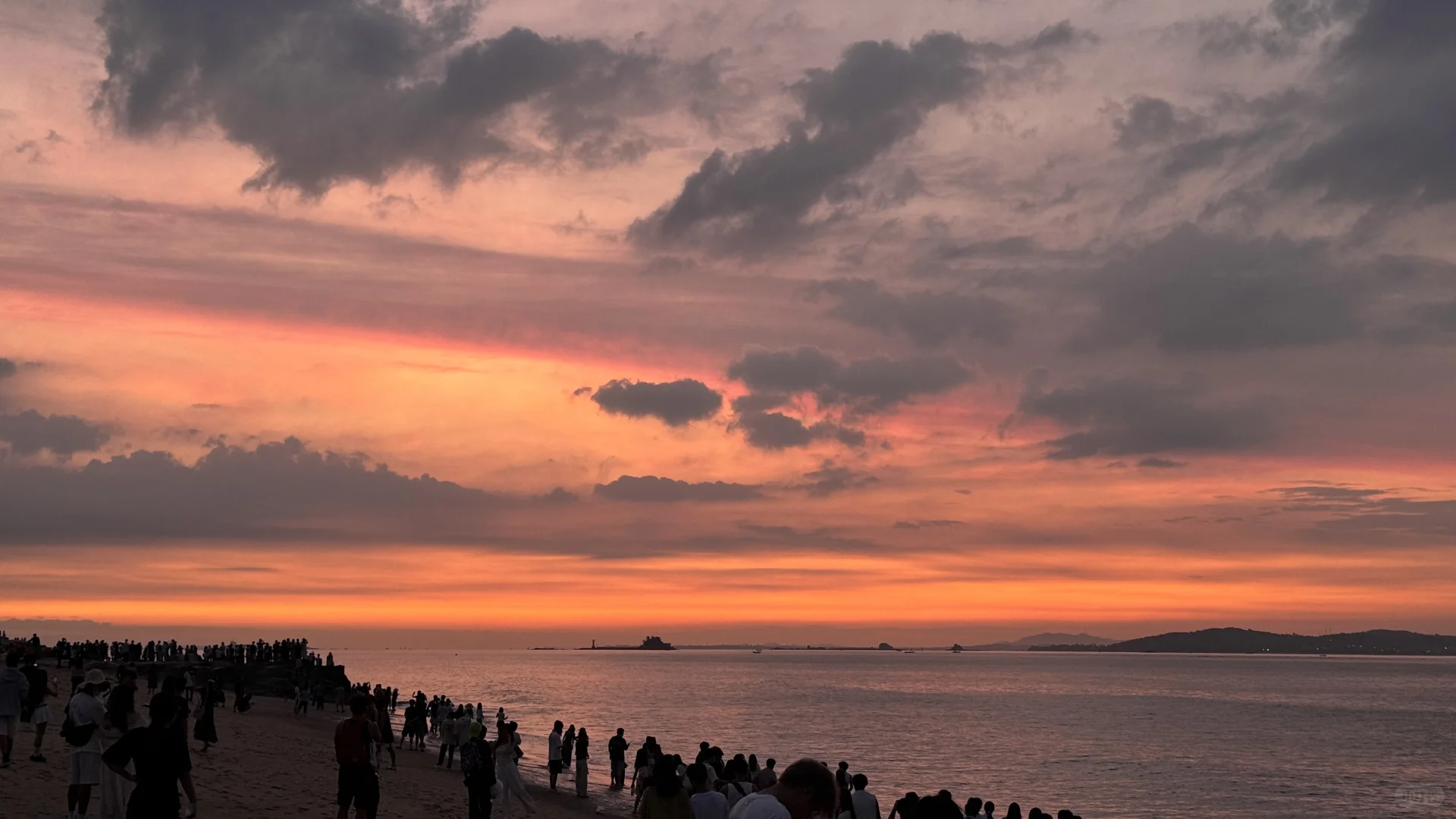 厦门｜椰风寨 The Orange Moment 🐚🧡