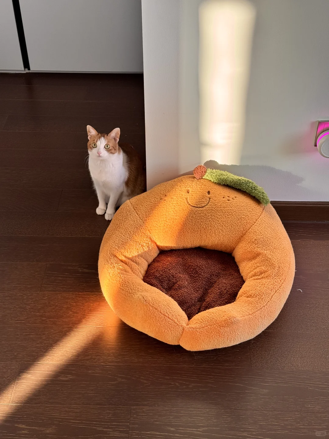 屎黄色嫩模太出片了