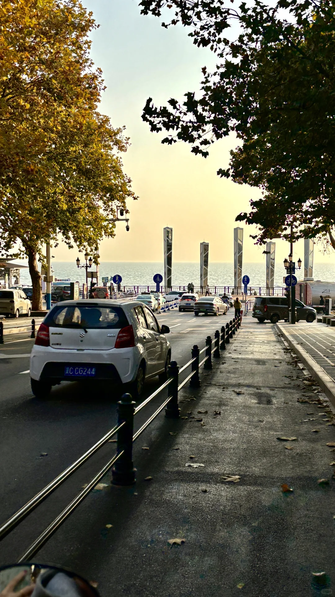 冬日海边喂鸥记