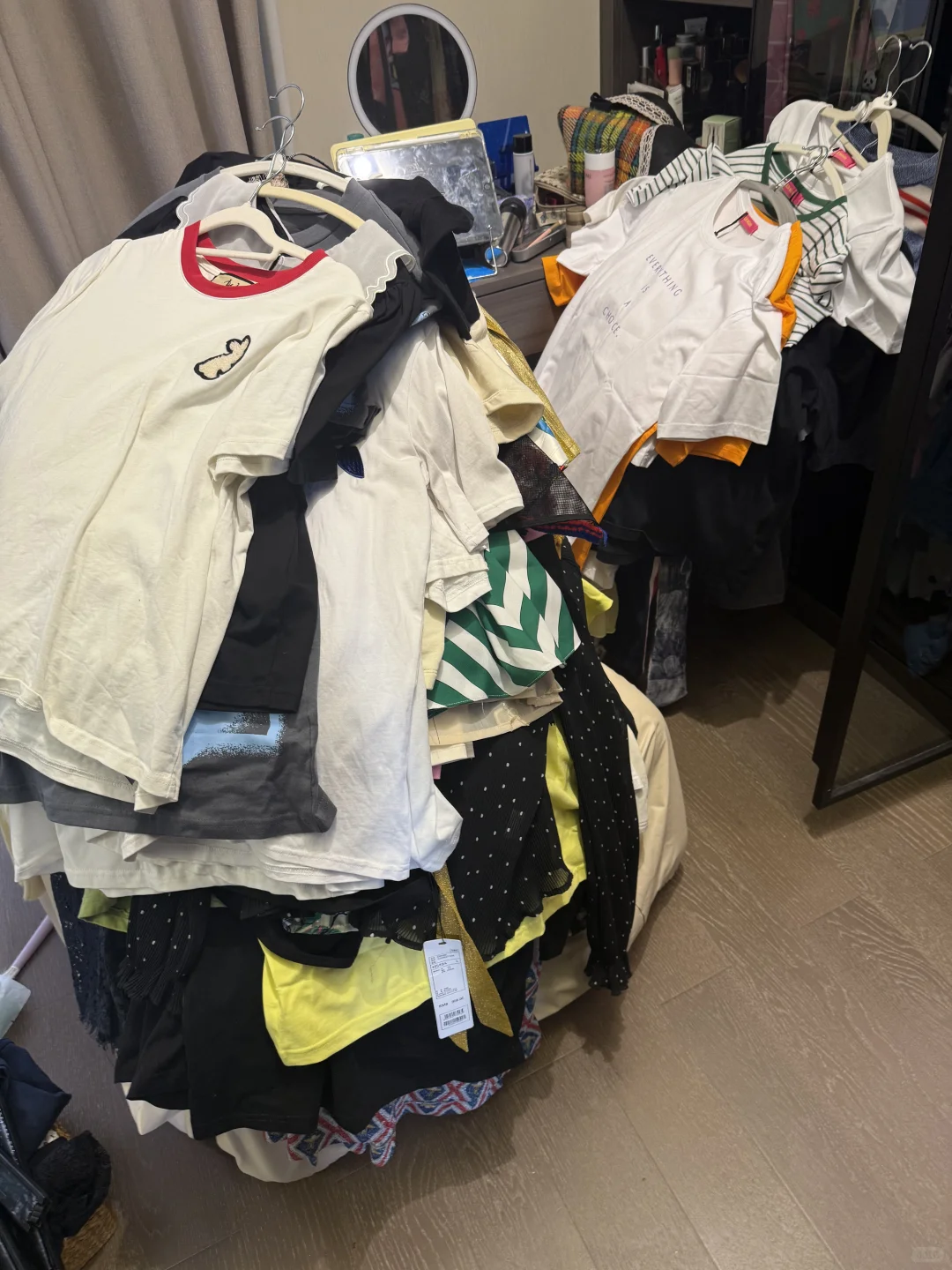 2.9号断舍离之扔了65件夏天的衣服