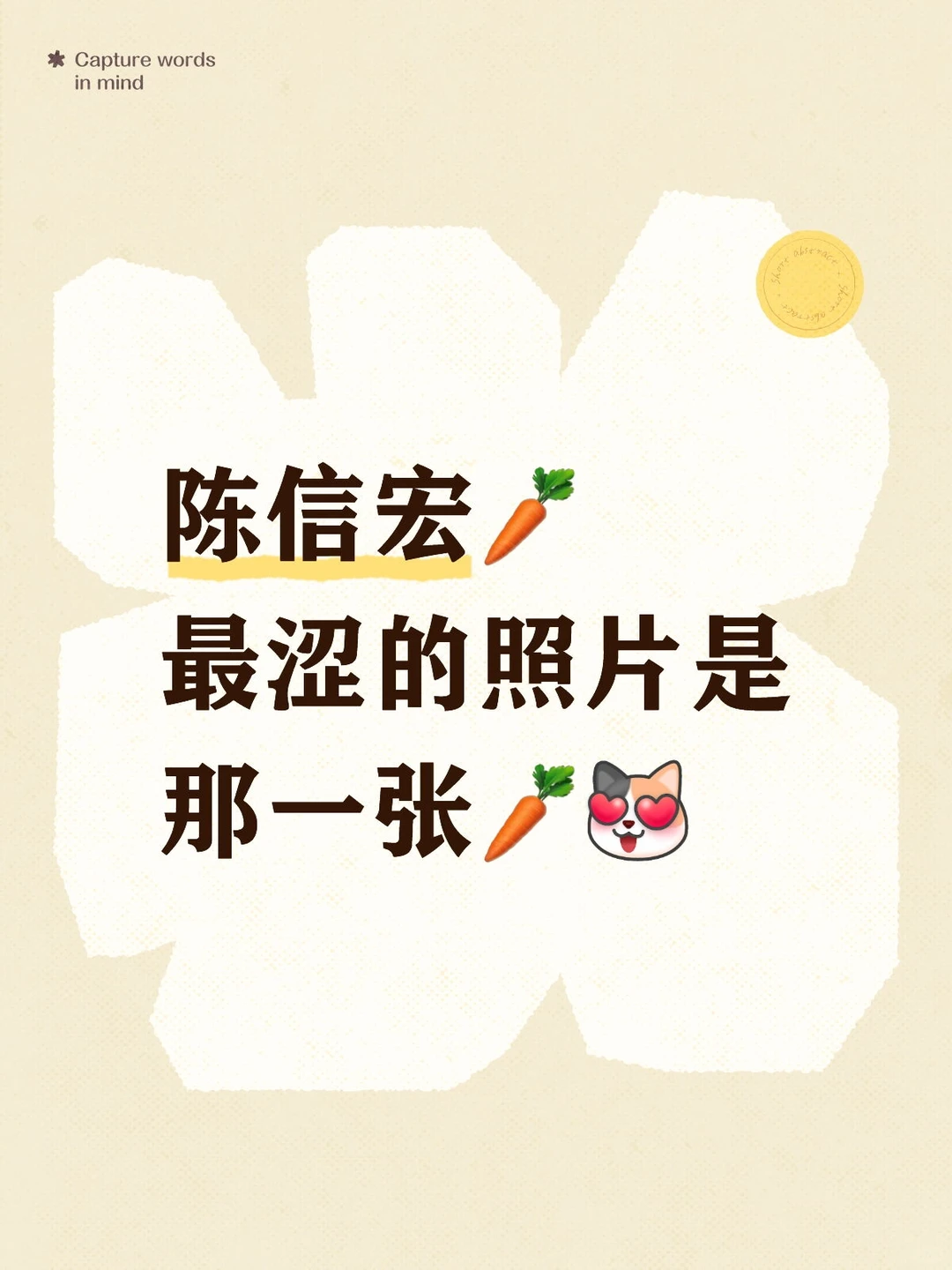 陈信宏最涩的照片是哪一张？🥕