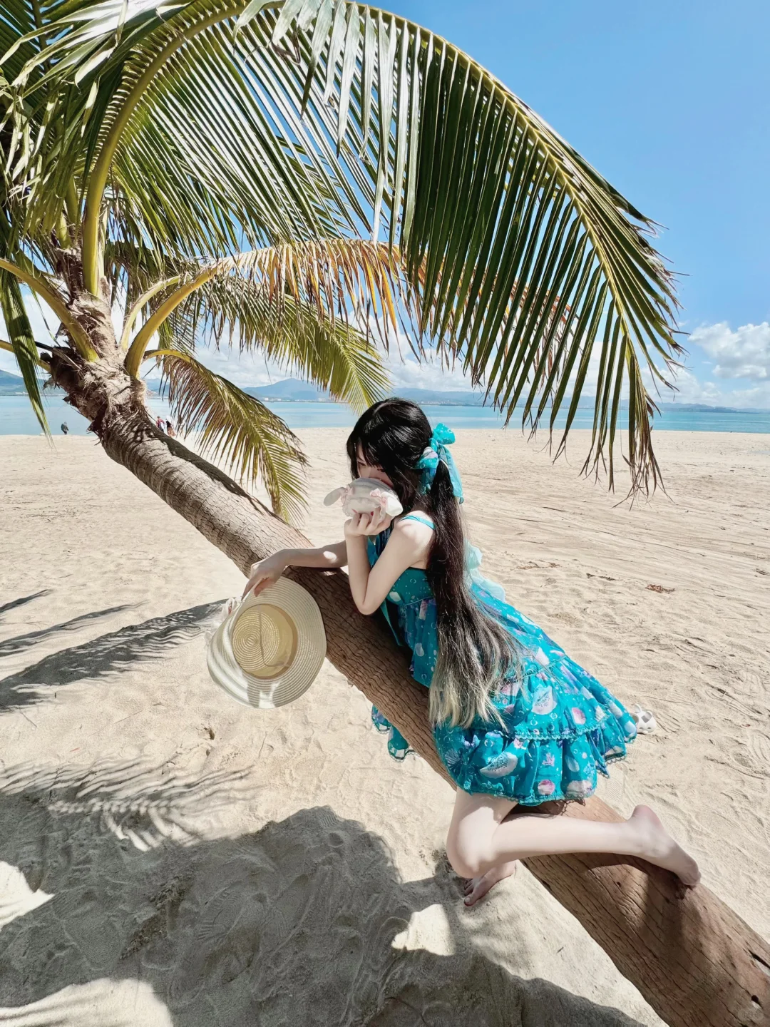 绿贝壳在海边度假这一块/.