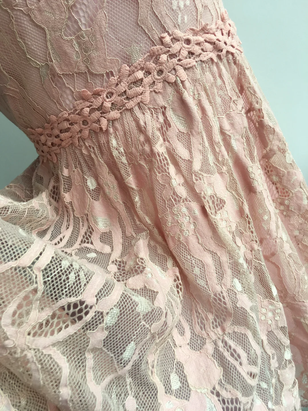 【86】细嗅蔷薇