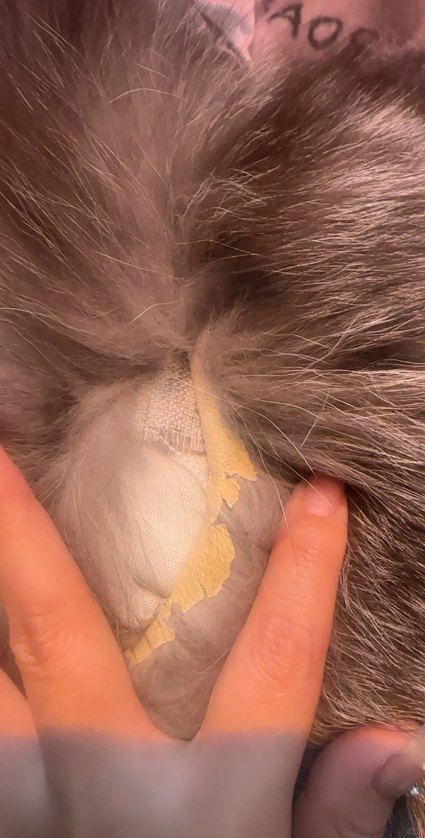 辛巴辛选售卖的貂皮质量差 用的老旧拼皮