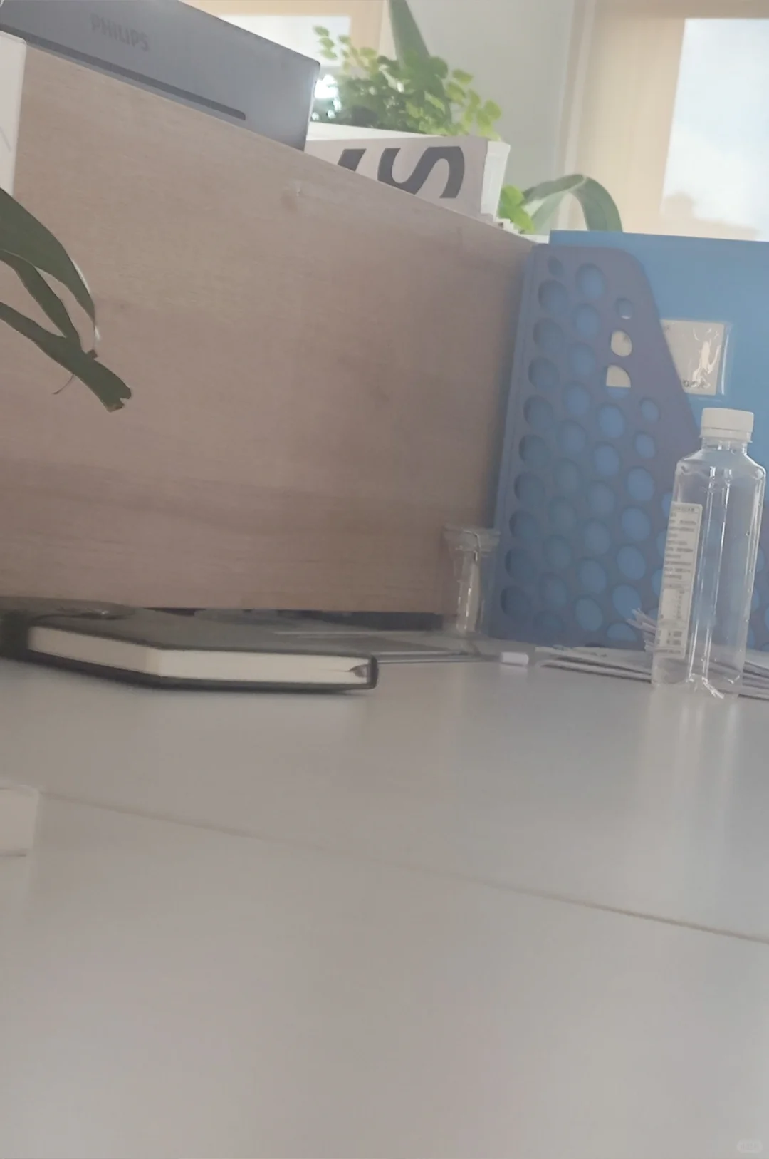 ❗️刺激 “跟踪”卉森同事的一天