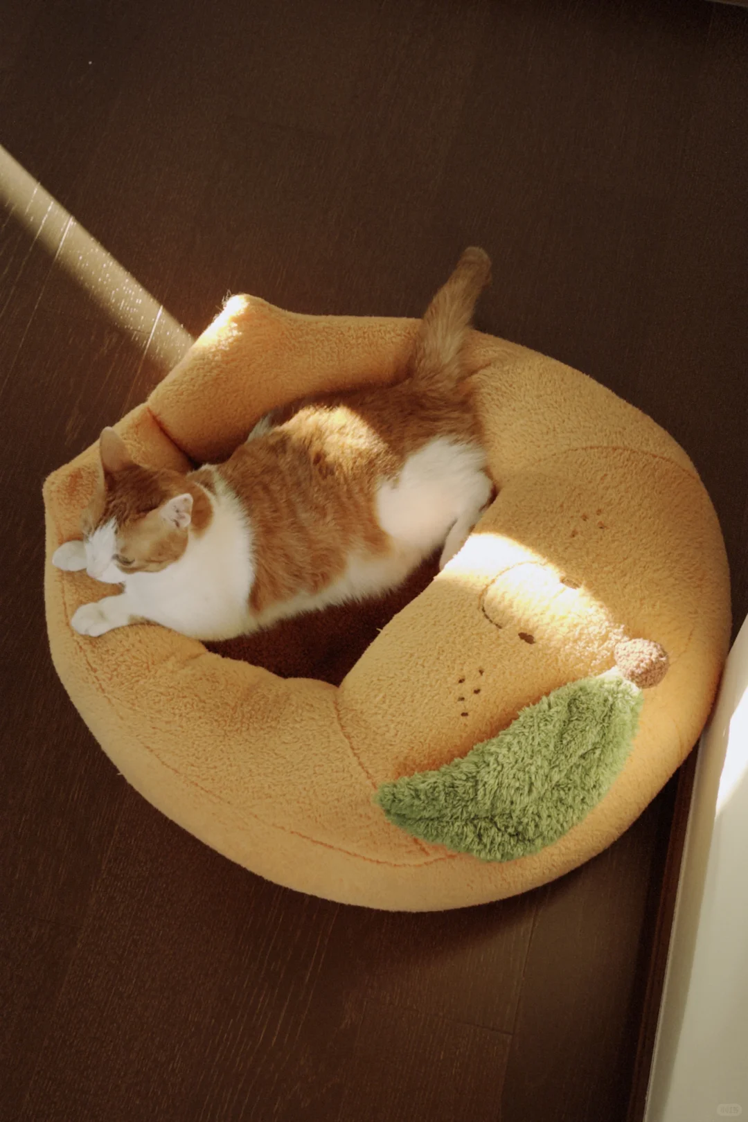 屎黄色嫩模太出片了