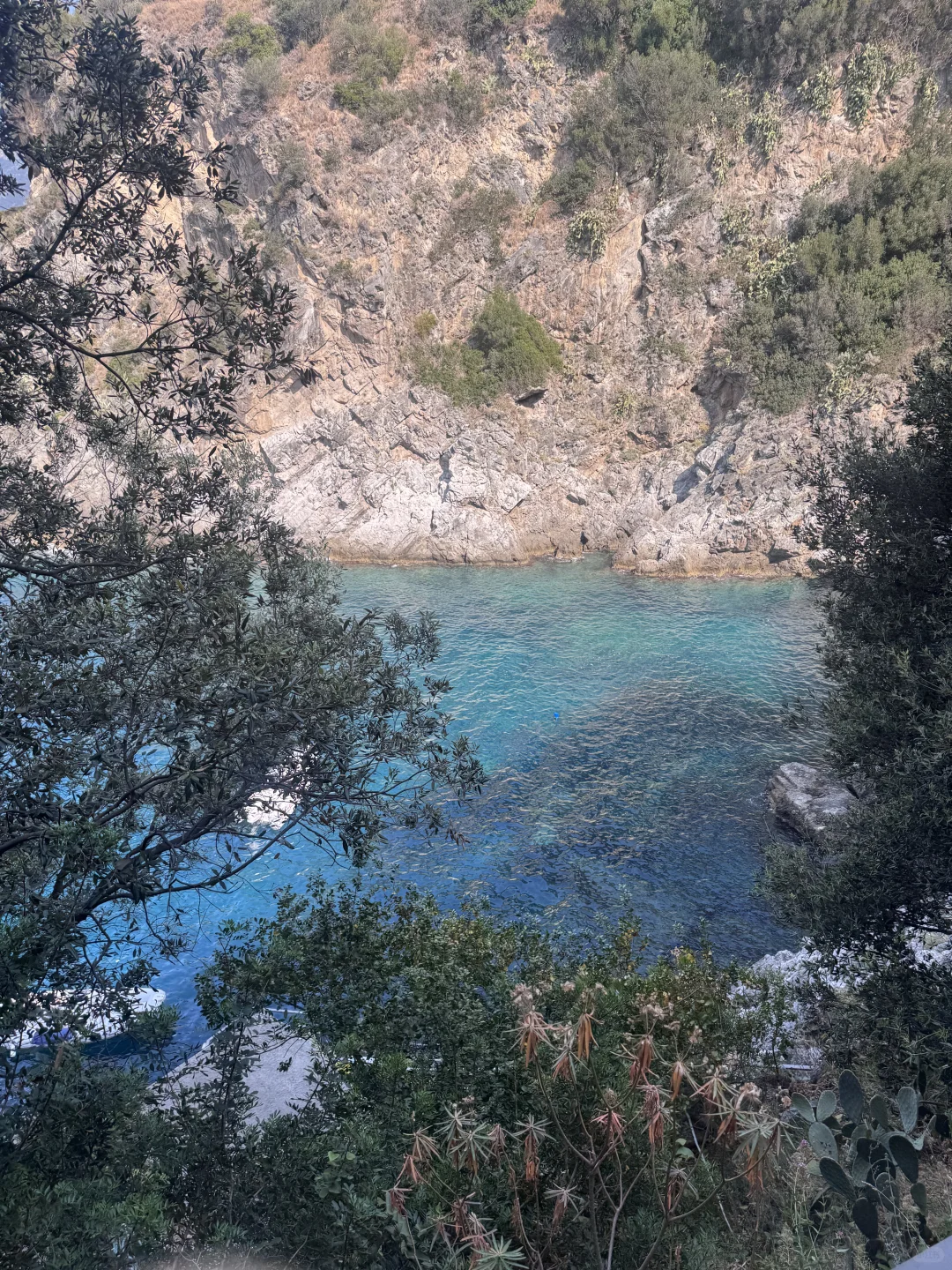 南意无尽夏🍃🍋