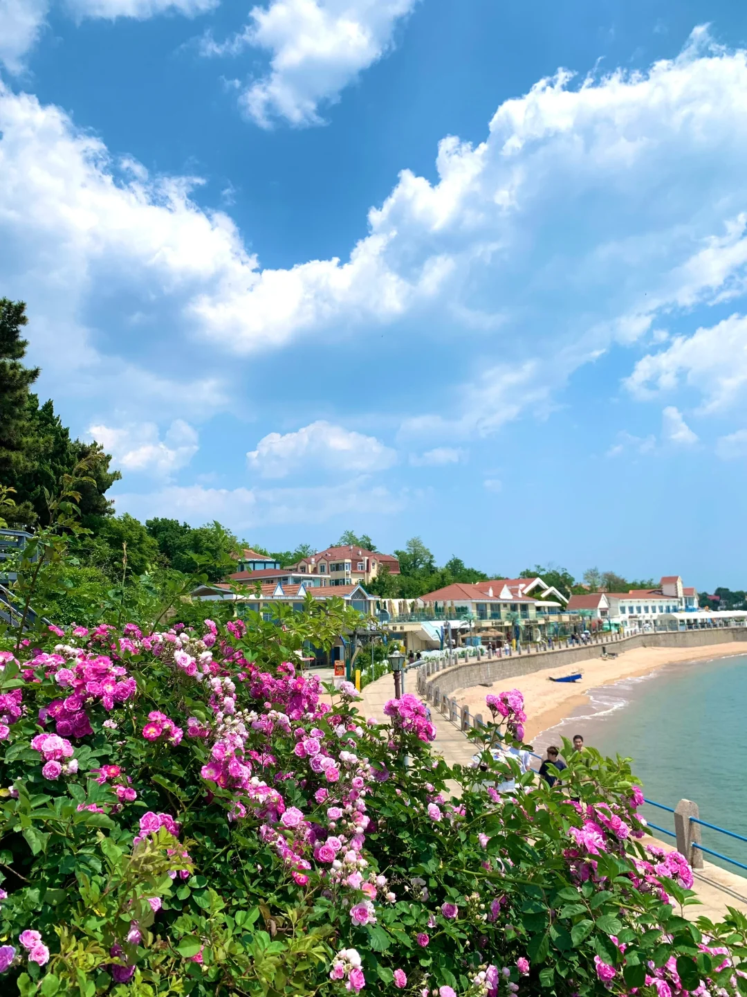 青岛小记𓇻 S𝗲𝗮𓆝 𓈒ㅤ 🩵ㅤ🍋