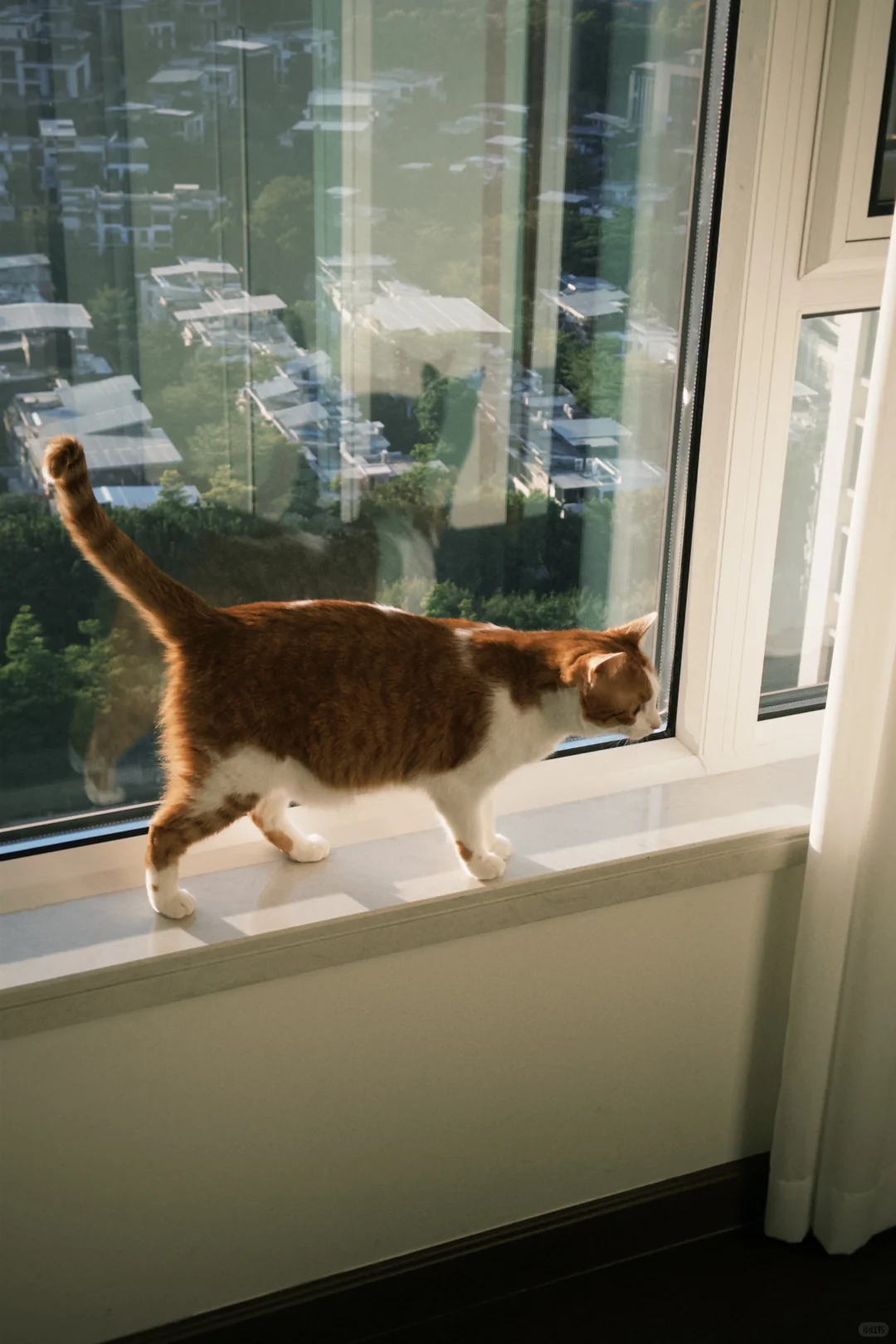 屎黄色嫩模太出片了