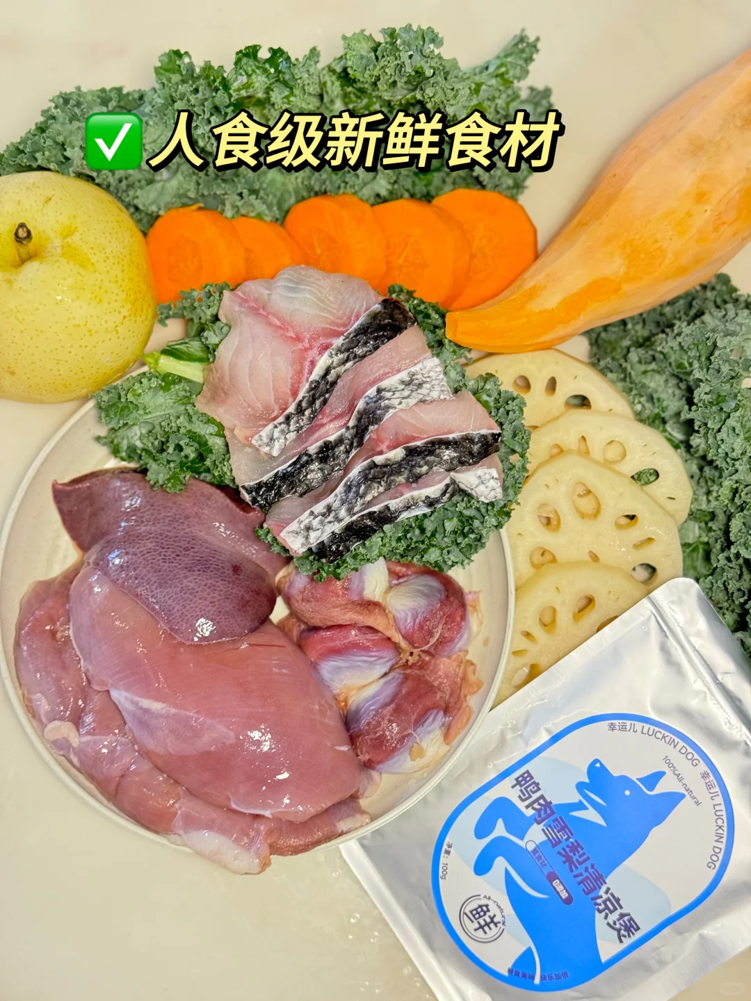 鲜食0元吃！幸运儿萌宠试吃官招募啦~