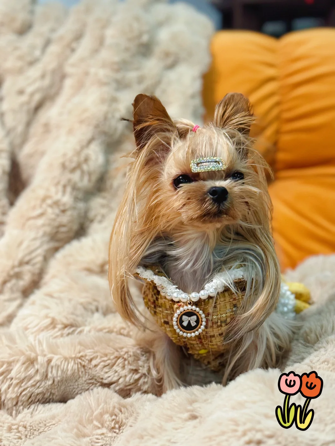 温暖牌小香风衣服，帮宝宝们实现穿衣自由6