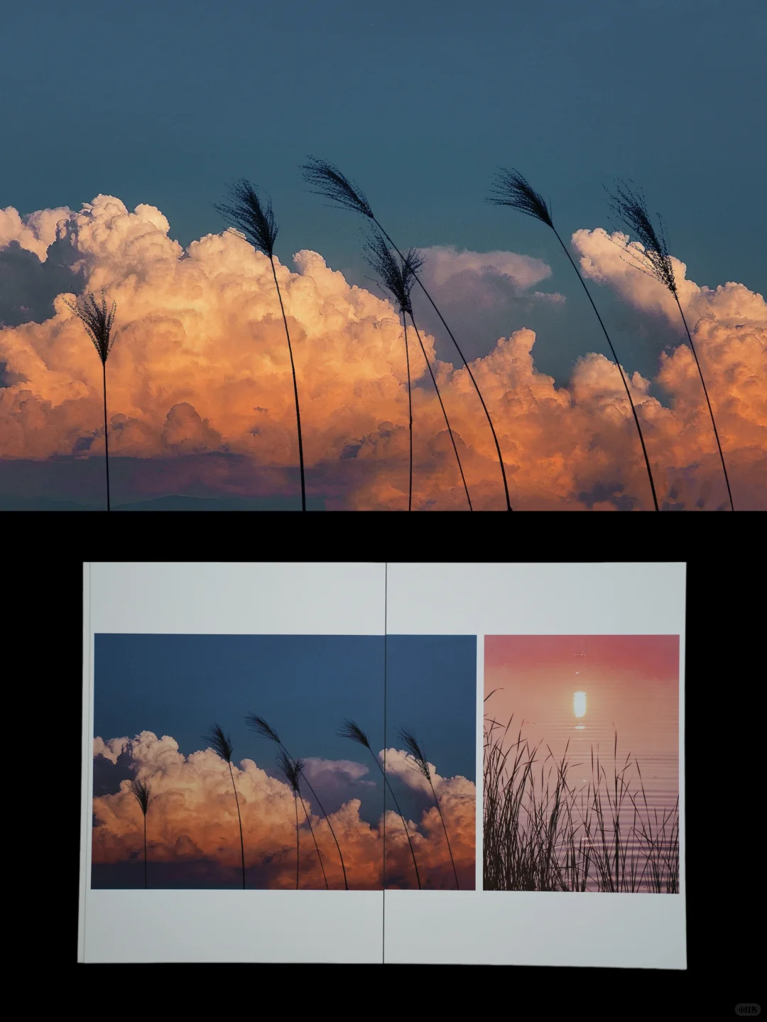 我的第一本摄影集｜在我的想象中