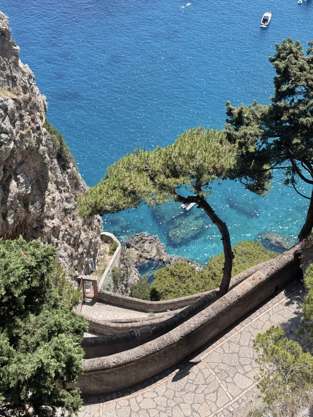 南意无尽夏🍃🍋