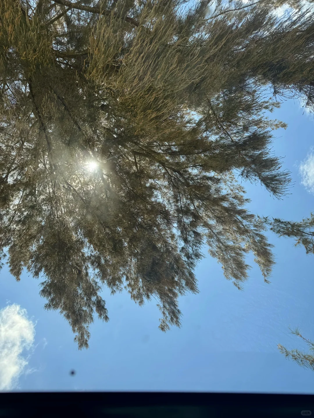 ˖°海岛日记𓇼白裙子和海边太搭啦⋆🐚🫧